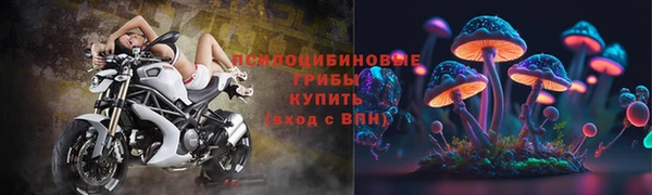 гидра Абинск