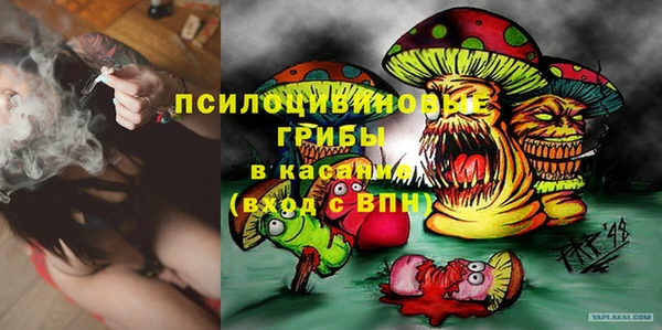 а пвп мука Абаза