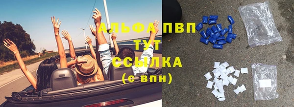 хмурый Заполярный