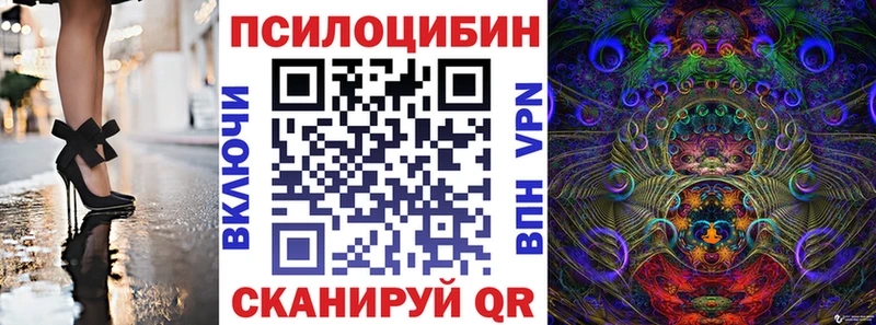 где можно купить   Кохма  Галлюциногенные грибы Cubensis 